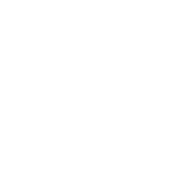 index-case-icon2